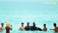 【老外看中國】「被合照死」老外警告：海豚勿到中國擱淺