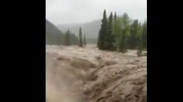 加西豪雨成灾 10万人或将撤离（视频）