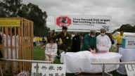死囚支撑中国器官移植？法媒触中共死穴