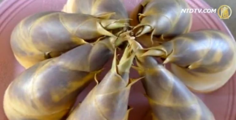 綠竹筍嘉年華 清涼消暑又健康