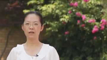 中國雙非孕婦源於法制環境惡劣