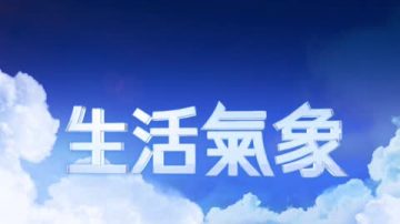 7月10日艾琳纽约生活气象