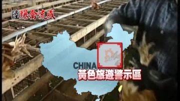 河北H7N9确诊首例 列黄色旅游警示