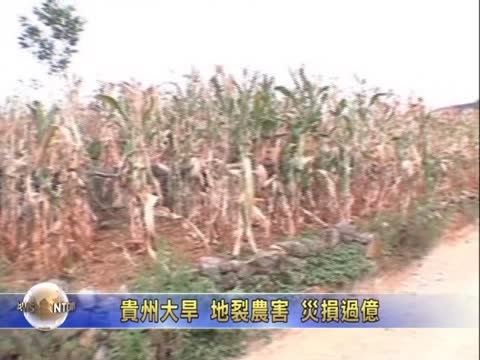 貴州大旱 地裂農害 災損過億