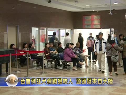 臺首例狂犬病鼬獾咬人 源頭疑來自大陸