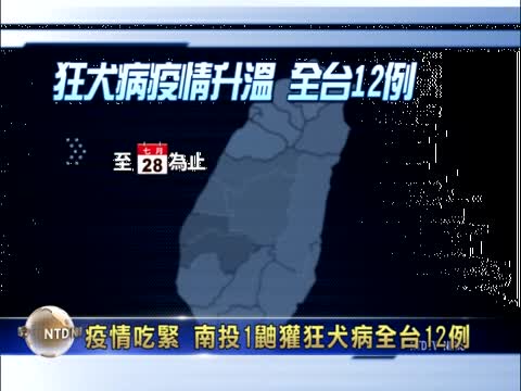 疫情吃緊 南投1鼬獾狂犬病全臺12例