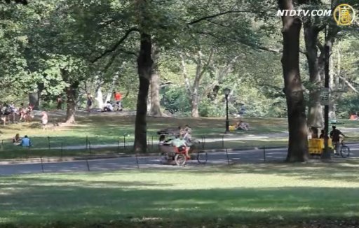 中央公園 鬧市中的靜謐森林