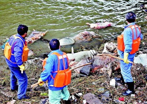 許行：環境污染會亡黨亡國