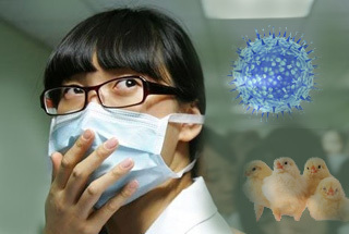 國際權威期刊：H7N9可飛沫傳播