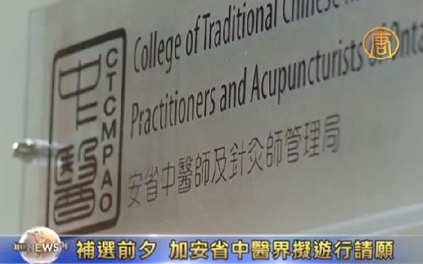 補選前夕 加安省中醫界擬遊行請願