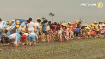 小農夫插秧趣 種稻體驗惜福愛物