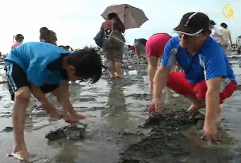 七股摸蛤體驗 不同戲水樂趣