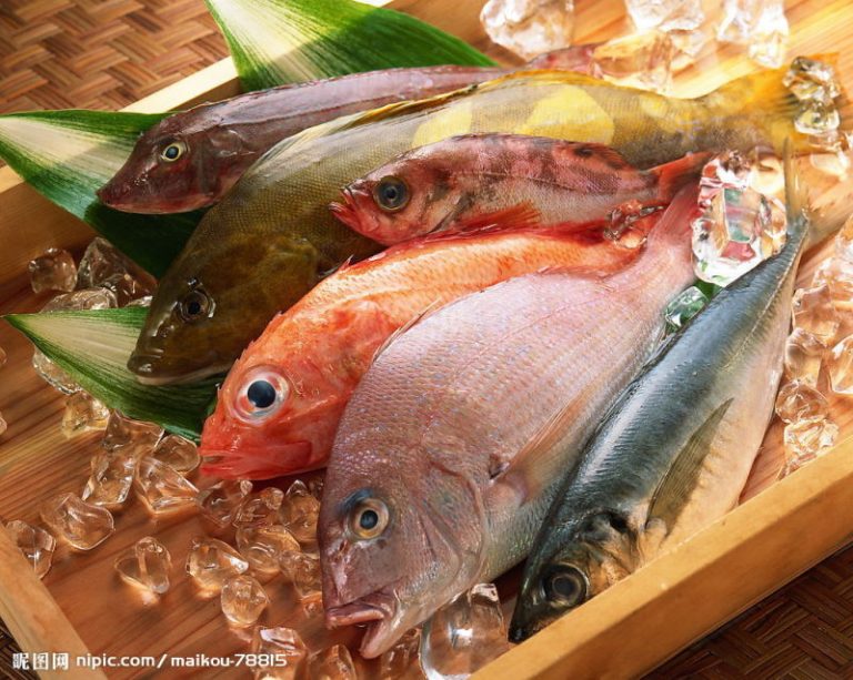 夏季品海鮮 新鮮最重要