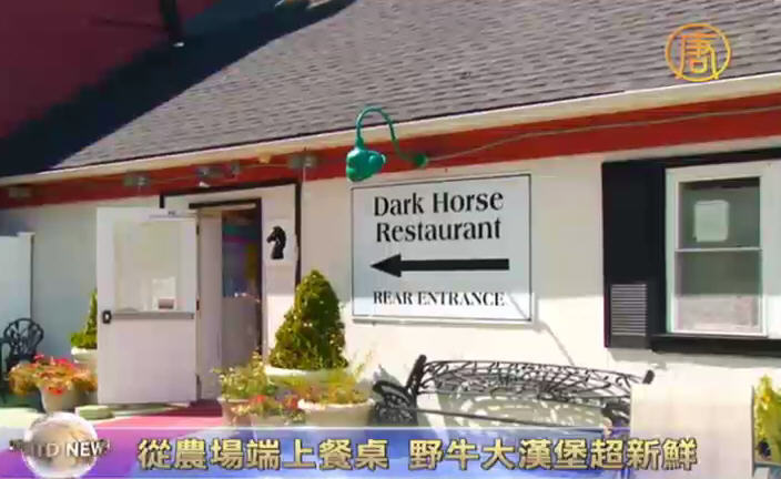 從農場端上餐桌  野牛大漢堡超新鮮
