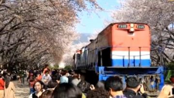 感受風土人情 乘火車去趕集