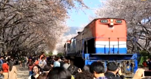 感受風土人情 乘火車去趕集