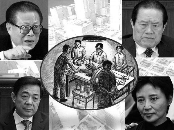 【禁聞】審薄前爆賣腎黑市  「活摘」再成焦點
