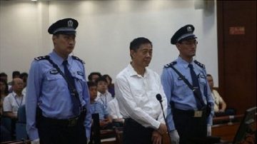 高手果然在民间！“薄案模拟法庭”急遭封杀