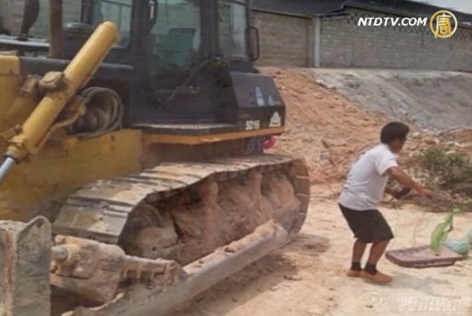 福建漳州強徵 推土機碾死4歲女童