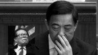 【石濤評述】薄熙來自爆江澤民令活摘法輪功學員器官