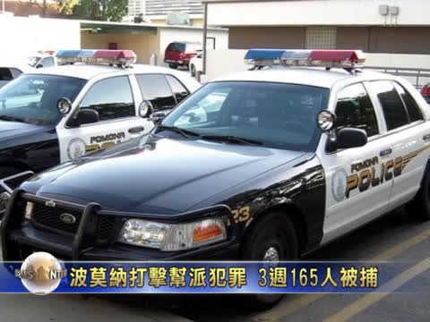 波莫納打擊幫派犯罪  3週165人被捕