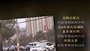 律师：“表哥”杨达才被判14年量刑过轻