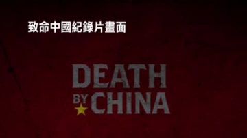 《致命中国》中文版发表引关注