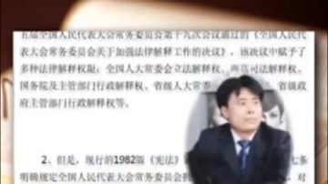 【禁闻】律师界联署上告“两高”违反宪法