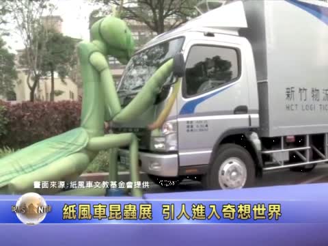紙風車動物昆蟲展 戶外展出魚標本珍寶
