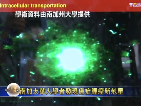 南加大華人學者發現癌症腫瘤新剋星