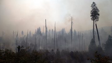 優勝美地大火 大麻疑罪魁禍首