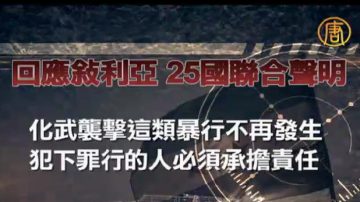 支持美严惩叙利亚 再添14国