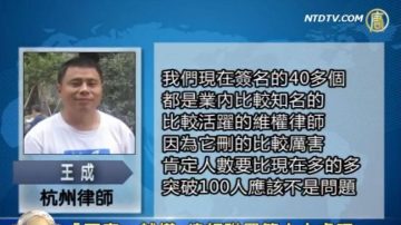 “两高”越权 律师联署吁人大处理