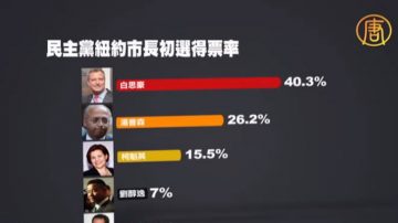 紐約市黨內初選結果綜述