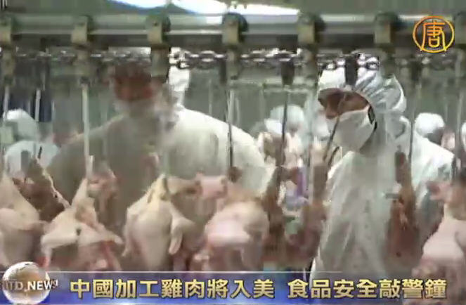 中國加工雞肉將入美 食品安全敲警鐘