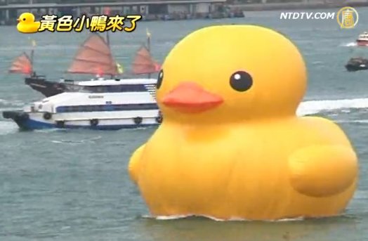鴨爸爸霍夫曼 創作理念的堅持