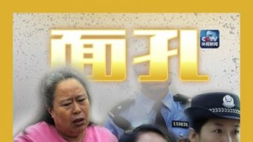 两女人的江湖？丁书苗龚爱爱案点睛之笔均被略