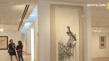 纽约发现齐白石 博物馆展画作