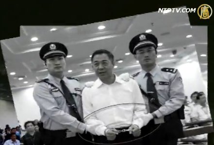 薄案繼續延伸 專家談案件下一步走向