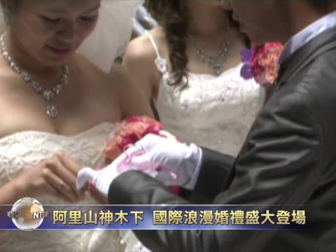 阿里山神木下 國際浪漫婚禮盛大登場