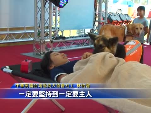 台灣導聾犬 聽音辨位助聽障