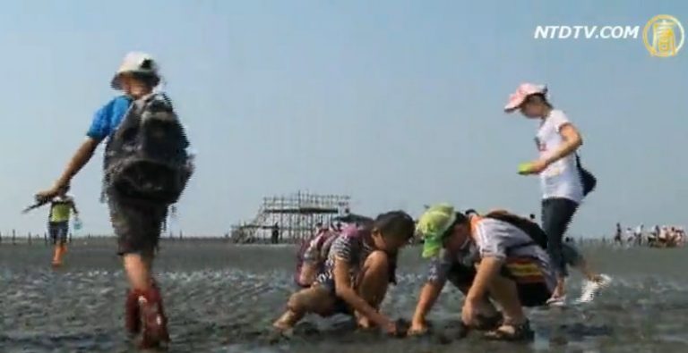 秋遊彰化西海岸 體驗漁村風光