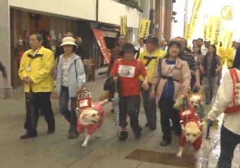 廣島商業街上的導盲犬普及遊行