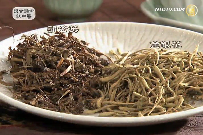 談古論今話中醫：蜂窩性組織炎的中醫療法