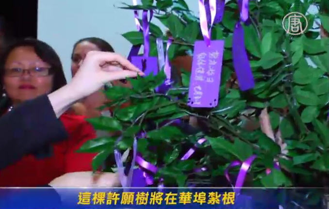 許願樹表心聲：只要愛不要暴力