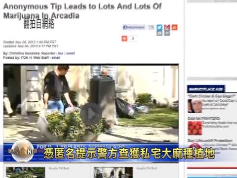 憑匿名提示 警方查獲私宅大麻種植地