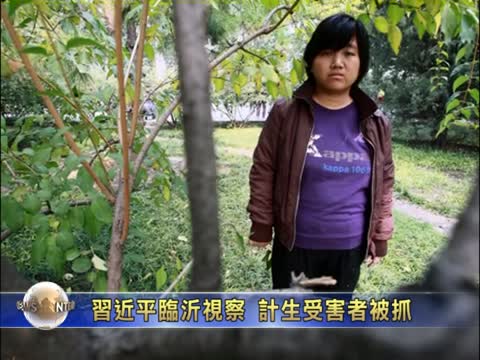 習近平臨沂視察 計生受害者被抓