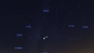 金星將抵東大距  最佳觀測位置