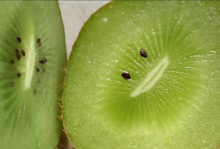 趣! 眾物現可愛「人臉」萬物皆有靈?