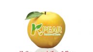 【廣告】K-Pear 韓國亞洲梨